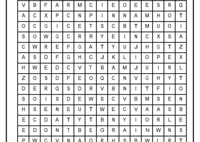 To Stay Safe, Play Safe – Word Search