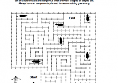 Livestock Safety – Maze