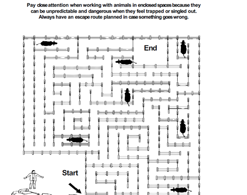 Livestock Safety – Maze