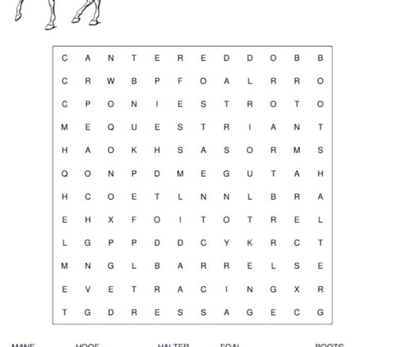 Horse Safety – Word Search